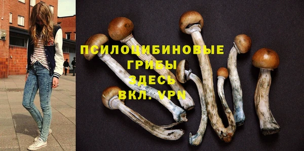 винт Краснослободск