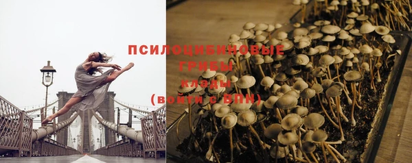 винт Краснослободск