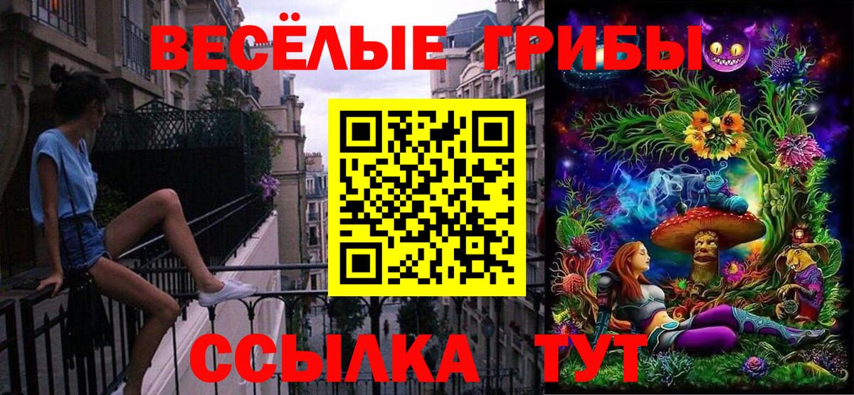 где найти   Псилоцибиновые грибы прущие грибы  Вход с VPN  Шадринск 