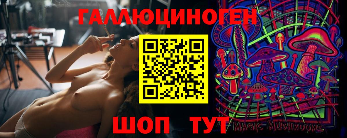 Галлюциногенные грибы Psilocybine cubensis Шадринск