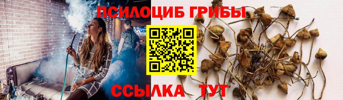 Псилоцибиновые грибы MAGIC MUSHROOMS Шадринск