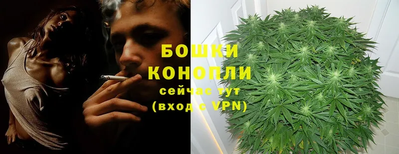 продажа наркотиков  Шадринск  Каннабис THC 21% 